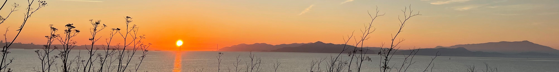 Books with contributions by David Steindl-Rast