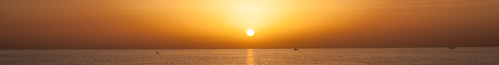 LEITBILD «Bibliothek David Steindl-Rast OSB»