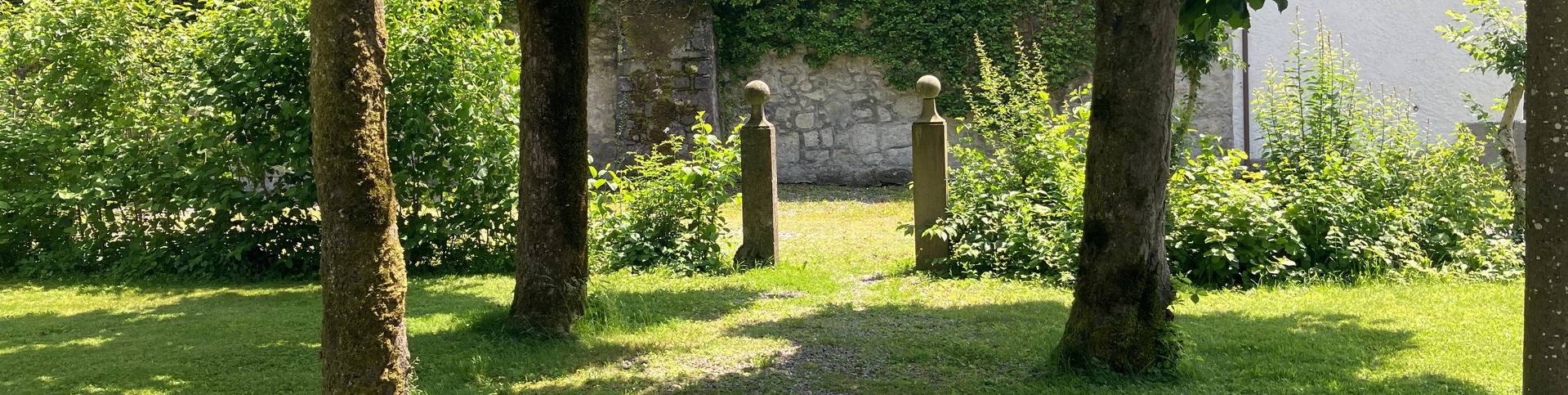 Bibliothek - David Steindl-Rast OSB